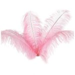 10 pcs plumes dâ¿autruche naturelles décoration de fête de mariage rose 20 - 25cm 10 pcs plumes dâ¿autruche naturelles décoration de fête de mariage rose 20 - 25cm