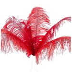 10 pcs plumes dâ¿autruche naturelles décoration de fête de mariage rouge 20 - 25cm 10 pcs plumes dâ¿autruche naturelles décoration de fête de mariage rouge 20 - 25cm