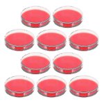 10pcs agar plaques blood agar plats pour equipement de laboratoire biologique projets scientifiques scolaires ... 10pcs agar plaques blood agar plats pour equipement de laboratoire biologique projets scientifiques scolaires ...