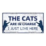 10x20 cm - plaque décorative en bois pour animaux de compagnie, vintage, chat zone, cadeau, décoration ... 10x20 cm - plaque décorative en bois pour animaux de compagnie, vintage, chat zone, cadeau, décoration ...