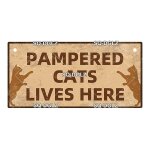 10x20 cm - plaque décorative en bois pour animaux de compagnie, vintage, chat zone, cadeau, décoration ... 10x20 cm - plaque décorative en bois pour animaux de compagnie, vintage, chat zone, cadeau, décoration ...