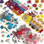 144pcs fleurs presses sches naturelles compatibles avec de la rsine, kit d'herbes naturelles en vrac ...