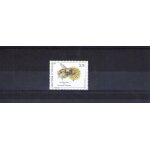 1994 - nr 594 - christalis tenax sur taraxacum officinale