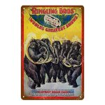 20x30cm - plaque de peinture vintage humoristique en mtal, signes de cirque kellar alexander, autocollant ...