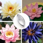 4pcs - ensemble de coupe - goutte en argile polymère, outil en forme de pétale de rose, gâteau, biscuit, ... 4pcs - ensemble de coupe - goutte en argile polymère, outil en forme de pétale de rose, gâteau, biscuit, ...