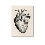 Affiche d'anatomie humaine rtro, image murale mdicale, peinture de dcoration d'hpital 40 * 40cm