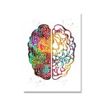 Affiche d'anatomie humaine, squelette, art color, cur, cur, cerveau, peinture sur toile, education ...