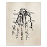 Affiche educative en squelette d'anatomie humaine, tableau mural d'art mdical, image de muscle squelette, ...