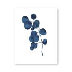 Affiches et imprims aquarelle, encre bleue, feuille d'indigo, peinture sur toile, illustration botanique, ...