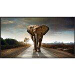 Affiches et imprims d'lphants africains, peinture sur toile, animal, art mural, image imprime hd, ...