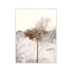 Affiches et imprim�s de fleurs s�ch�es de for�t de roseaux beiges, toile d'art mural, images murales ...