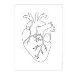 Affiche murale d'anatomie humaine en noir et blanc, peinture murale abstraite, image imprime, dcor ...