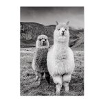 Affiche murale avec animaux en noir et blanc, peinture sur toile lama, images murales nordiques, décor ... Affiche murale avec animaux en noir et blanc, peinture sur toile lama, images murales nordiques, décor ...
