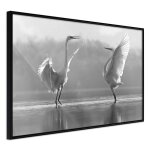 Paris prix - affiche murale encadre  black and white herons  60 x 40 cm noir