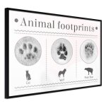 Affiche murale encadr�e  how to recognize an animal  30 x 20 cm noir