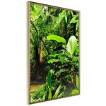 Affiche murale encadr�e  in the rainforest  30 x 42 cm or