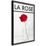 Paris prix - affiche murale encadre  rose in the vase  40 x 60 cm noir