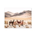 Affiche de photographie architecture du dsert, impression marocaine, tableau d'art mural, peinture sur ...