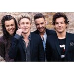 Affiche / poster - one direction - wall 2016 - 61x91, 5cm