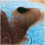 Affiche / poster - pink floyd - meddle 12  print cover - 31x31cm