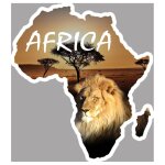 Africa lion - 10x9cm - sticker / autocollant