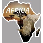 Africa rhinoc�ros - 5x4, 5cm - sticker / autocollant