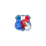 Allez les bleus deux etoiles ! - 10x10cm - sticker / autocollant Allez les bleus deux etoiles ! - 10x10cm - sticker / autocollant