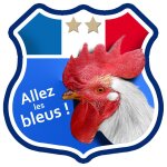 Allez les bleus deux etoiles ! - 20x20cm - sticker / autocollant