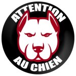 Attention au chien - 15cm - sticker / autocollant