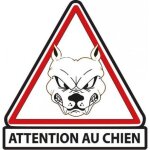 Attention au chien blanc autocollant sticker adhesif - taille : 8 cm