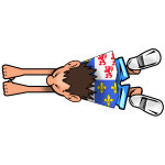 Attrape voiture picard - 14x6cm - sticker / autocollant