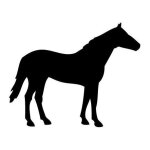 Autocollant cheval stickers adhesif animal - taille : 12 cm - couleur : rose