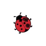 Autocollant coccinelle sticker adhesif - taille : 8 cm