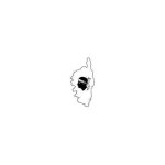 Autocollant corse corsica stickers île beauté carte - taille : 8 cm Autocollant corse corsica stickers île beauté carte - taille : 8 cm