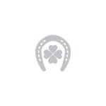 Autocollant fer a cheval trefle sticker gris - taille : 17 cm