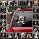 Autocollants muraux amovibles en 3d, animaux de dessin anim� chats, vue de trou, chiens vifs, salle de ...