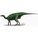 Autocollant sticker dinosaure dino jurassique deco enfant chambre dollodon