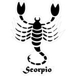 Autocollant sticker signe zodiaque astrologie scorpio scorpion noir blanc