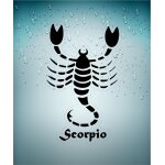 Autocollant sticker signe zodiaque astrologie scorpio scorpion transparent
