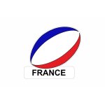 Autocollant sticker voiture moto drapeau ballon rugby france francais