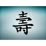Autocollant sticker voiture moto macbook signe chinois longue vie r2 tuning jdm