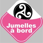 B�b�s a bord jumelles triskel - 10cm - sticker / autocollant