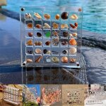 Bote d'affichage de coquillage magntique en acrylique, grille de coquillage acrylique transparent, ...