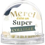 Boule a neige super collegue