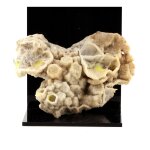 Calcite + aragonite + soufre. 816. 0 ct. cozzo disi mine, sicily, italie.