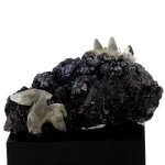 Calcite + chalcopyrite + marcasite + pyrite. 6240. 0 ct. sweetwater mine, ellington, reynolds county, ...