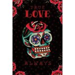 Cardxcore - true love always - affiche / poster envoi en tube