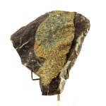 Chalcopyrite. 1094. 47 ct. anduze, gard, france.