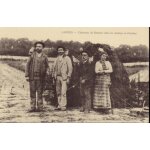 Chasseurs de ramiers dans les champs en octobre - rdition d'une carte postale ancienne - 1er choix ...