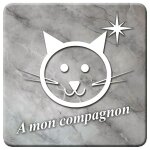 Chat marbre gris (10x10cm) - sticker / autocollant